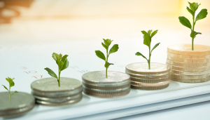 Future investment or expansion