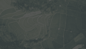 Land remediation relief top tips