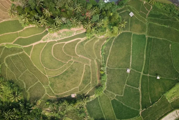 Land remediation relief top tips