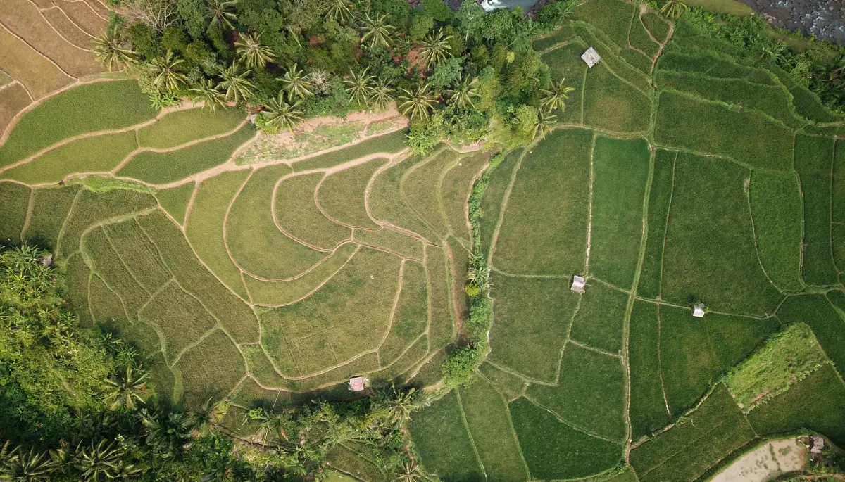 Land remediation relief top tips