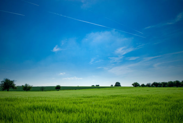 who can claim land remediation relief
