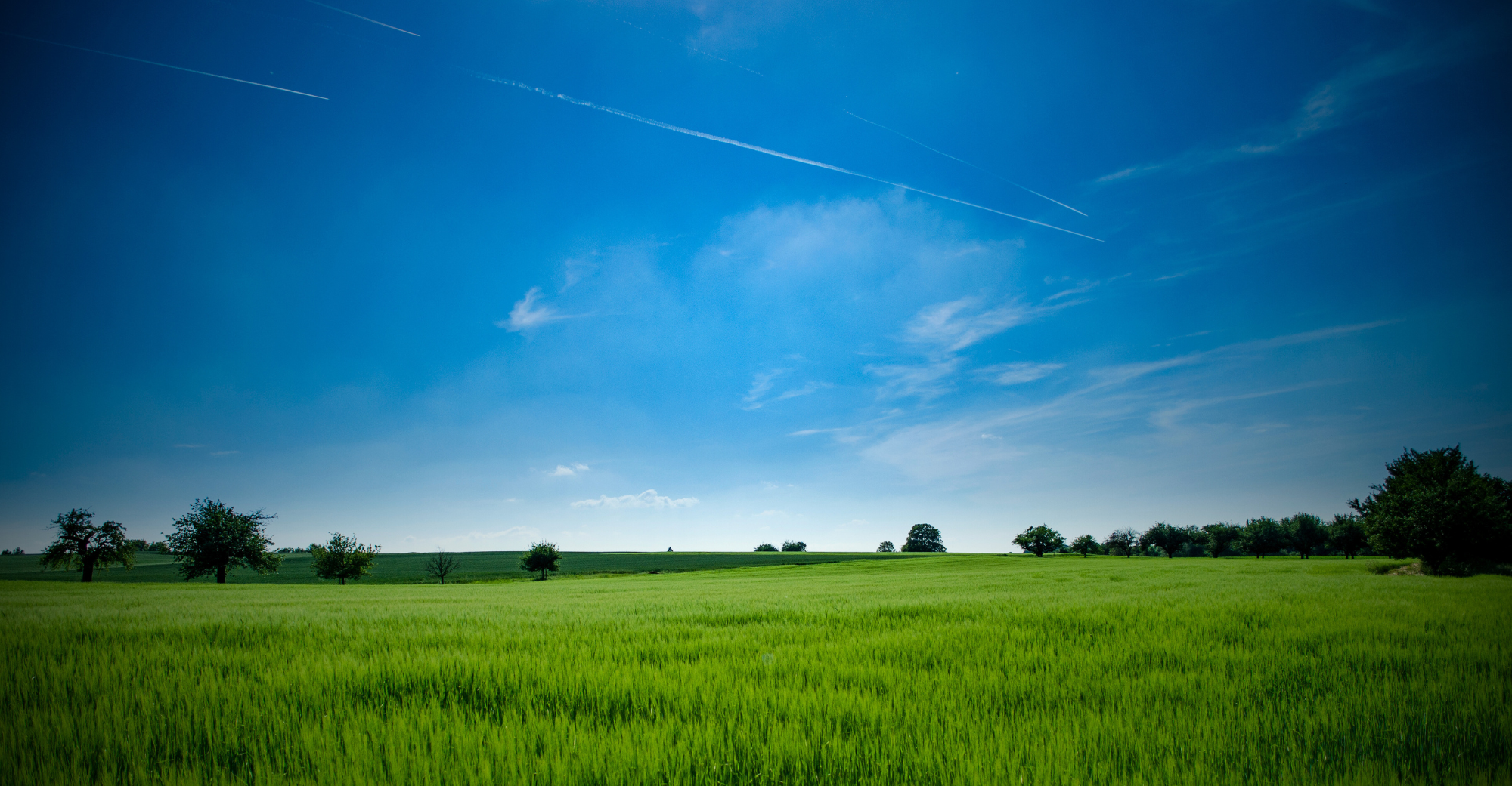 who can claim land remediation relief